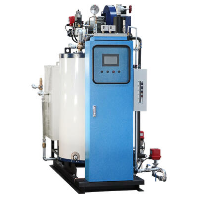 Shin Chiao 1000G gas-fired steam boiler